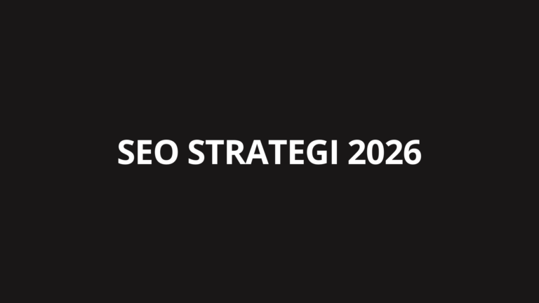SEO strategi 2026