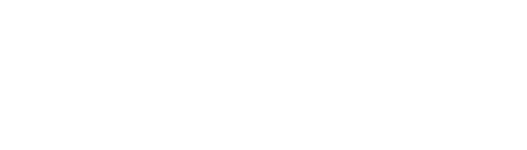 Shopify partner